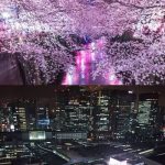 5月31日　【品川・目黒エリア】